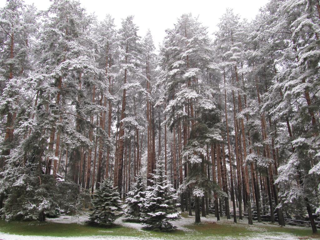 Apartments Markoni Zlatibor Eksteriør billede